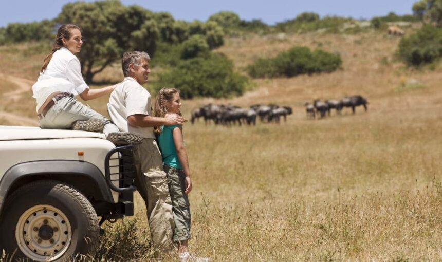 Best Family Safari Destinations in Tanzania: Unforgettable Adventures for All Ages 2026
