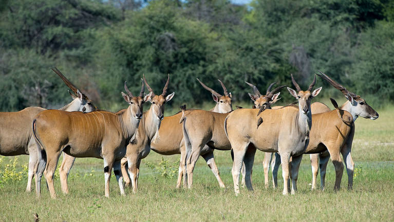 7d1e8532d51d4180a54e6f942a309341